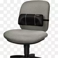 腰椎人类背部脊柱办公室及桌椅