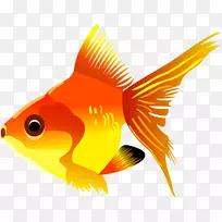 宠物金鱼动画剪辑艺术-鱼