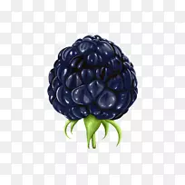 黑莓剪贴画-黑莓