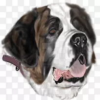 圣。伯纳德犬品种画纹身搜救犬