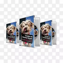 狗繁殖教程adobe Photoshop元素网页-Photoshop元素2