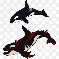 虎鲸、海豚、灵芝-鲨鱼