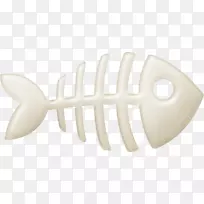 动物鱼骨骼绘制石川图-鱼
