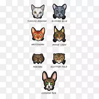 胡须，小猫，野猫鼻子-小猫