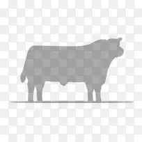安格斯牛，荷斯坦牛，弗里西亚牛，牛牛，阿伯丁牛，安格斯牛