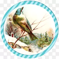 免费冬季剪贴画-鸟