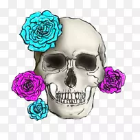 头盖骨花字体-头骨和玫瑰