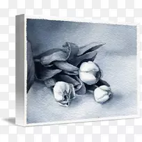 静物摄影花卉画框-花