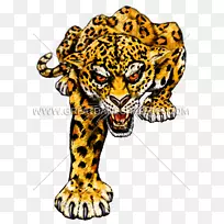 豹纹美洲豹印花-美洲豹