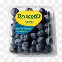 低灌木蓝莓Driscoll‘s越橘果实-蓝莓
