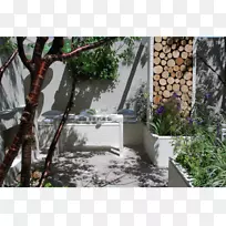 后院树属性草坪计树
