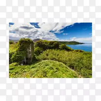 图斯手比拉半岛摄影植物.城堡水彩