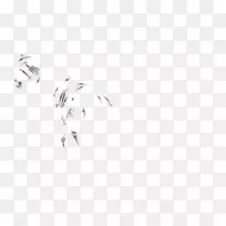 狮子羽毛嘴桌面壁纸电脑-狮子