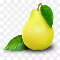 威廉斯梨柠檬-莱姆饮料关键莱姆-梨图标