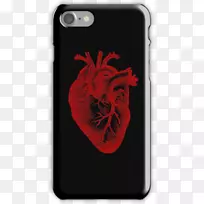 苹果iphone 7加苹果iphone 8加上iphone x三星星系s8 iphone 6s+解剖心脏