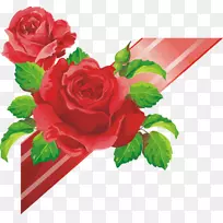 花园玫瑰，印刷和书写纸，信，别针