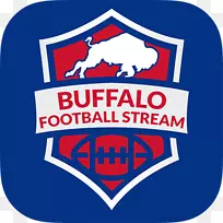 迈阿密海豚新奥尔良圣徒足球2017年NFL Android-NFL