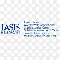 LOGO品牌IAASIS医疗保健字体-攀岩传单