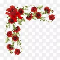 花卉摄影剪贴画-花