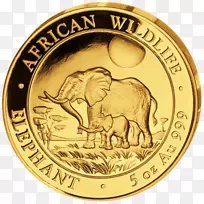 索马里金币非洲象-黄金
