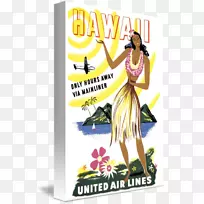 夏威夷呼拉航空旅行北岸航班-夏威夷海报