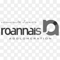 Roannais agglomé口粮le renison roannais篮féminin la teyssonne-2018字体设计