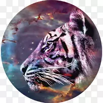虎须吼猫鼻虎