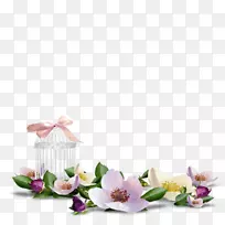桌面壁纸.花画框