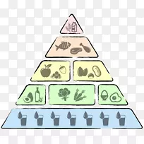 低碳水化合物饮食金字塔健康营养健康