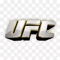 UFC 1：开始UFC 197：琼斯对圣普罗混合武术雪狗运动-混合武术
