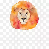 狮子水彩画-狮子