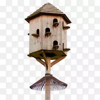 金龟子科多维柯木屋鸟-vogelhaus