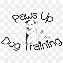 犬种小狗训练服从训练-小狗