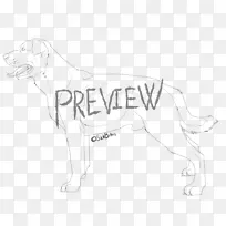 犬种画白素描