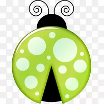 瓢虫绿夹艺术-甲虫