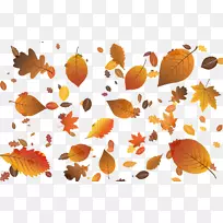 秋叶色桌面壁纸夹艺术