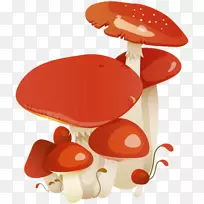 普通蘑菇博客木耳剪贴画-蘑菇
