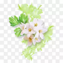 花卉设计画花白绿花