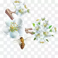 蜜蜂插花艺术