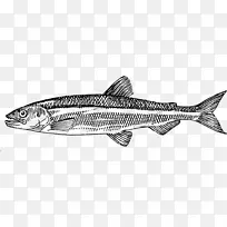 拉罗斯餐厅沙丁鱼画电脑图标剪贴画鱼食卡通