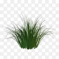 人造草皮地毯植物