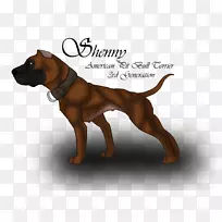 罗得西亚脊椎病犬