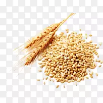 小麦浆果谷类杂粮