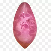 温氏并殖吸虫皮肤幼虫移行性人体寄生虫内脏幼虫迁移-人肺