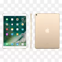 Apple iPad pro(10.5)iPad Air 2视网膜显示器-iPad