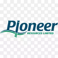 巴基斯坦Payoneer业务资金投资-业务
