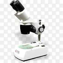 立体显微镜立体镜光学显微镜双目视觉显微镜