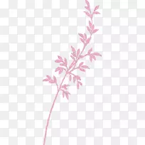 嫩枝粉红色m植物茎叶花瓣叶