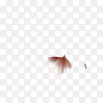 桌面壁纸特写电脑天空plc-电脑