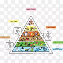 食物金字塔营养吃地中海饮食-营养金字塔